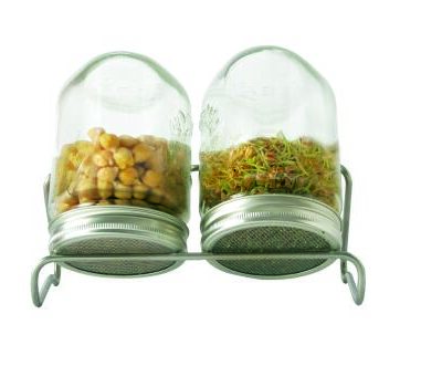 Eschenfelder 2er-Sprossen-Set mit 750 ml Glas