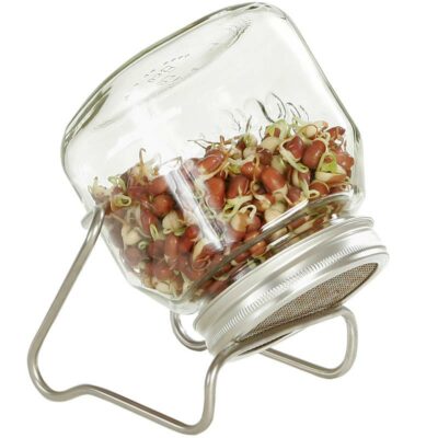 Eschenfelder 1er-Sprossen-Set mit 750 ml Glas, Edelstahlring