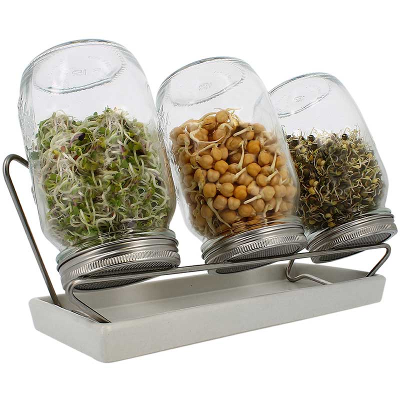 Eschenfelder-3er-Sprossensystem-1000ml-weiß-330551E Eschenfelder 3er-Sprossen-System 1000 ml Glas, Weiß, Edelstahlring