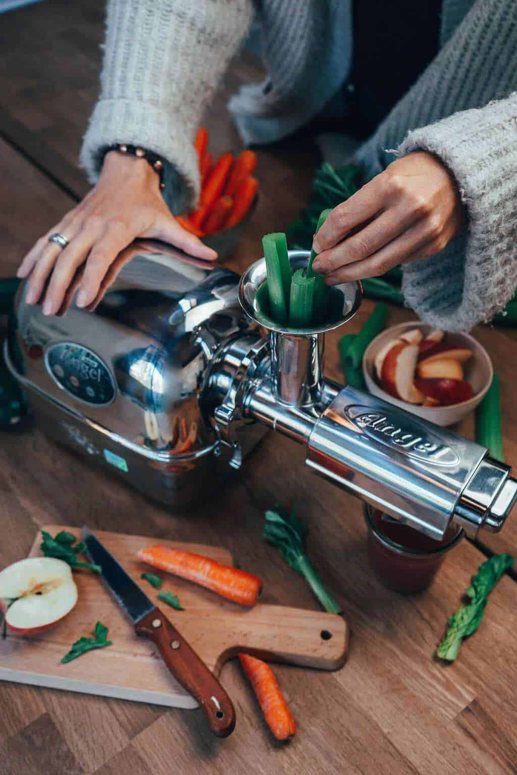 Angel Juicer Entsafter kaufen 2 Angel Juicer Slow Juicer Luba.3