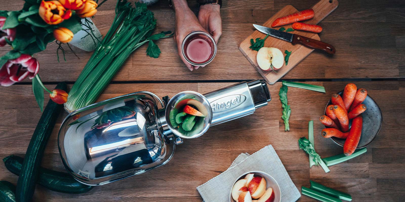 Angel Juicer Entsafter kaufen 1 Angel_Juicer-de