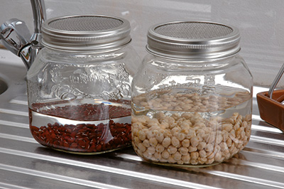Eschenfelder 2er-Sprossen-System 1500 ml Glas, Weiß, Edelstahlring 1 Anleitung 1