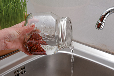 Eschenfelder 2er-Sprossen-System 1500 ml Glas, Weiß, Edelstahlring 3 Anleitung 3