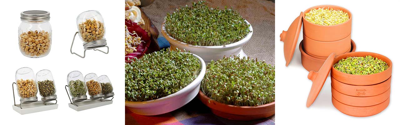 Keimgeräte und Sprossengläser