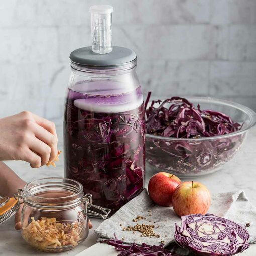 Red Cabbage Fermenting in a Jar