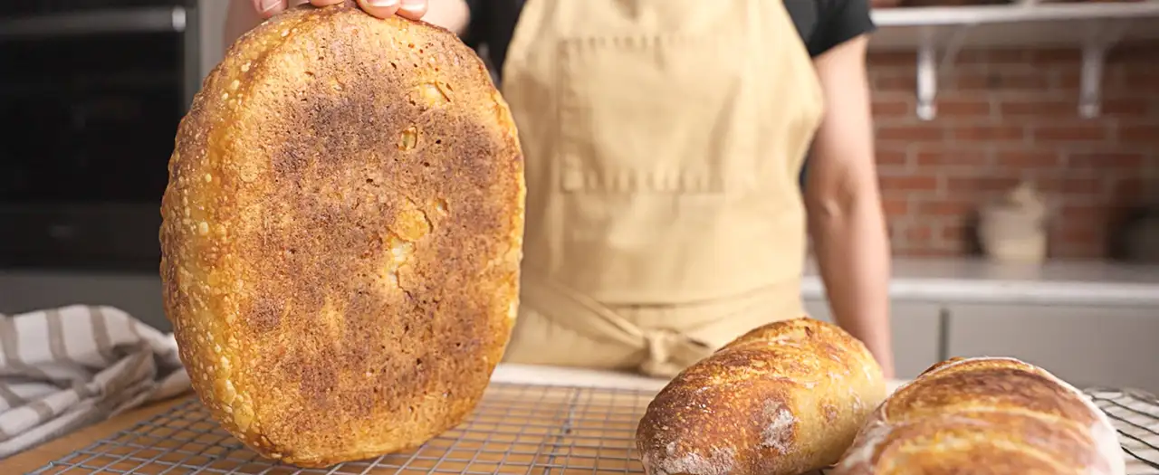 Bread Steel from Brod & Taylor 2 Backplatte no burnt 008516 1