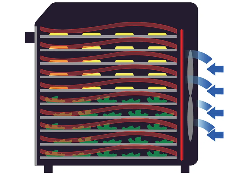 Excalibur 10 Tray Performance Digital Dehydrator, in Stainless Steel 4 Excalibur EXDH10SS 3