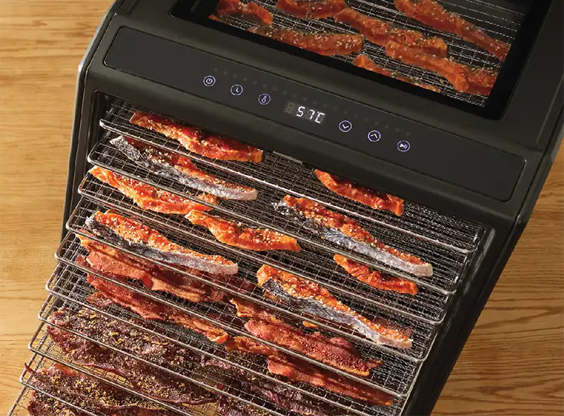 Excalibur EXDH10SS C 4