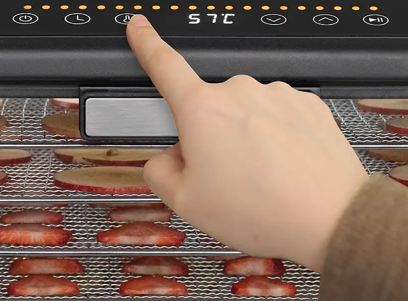 Excalibur EXDH10SS C 5