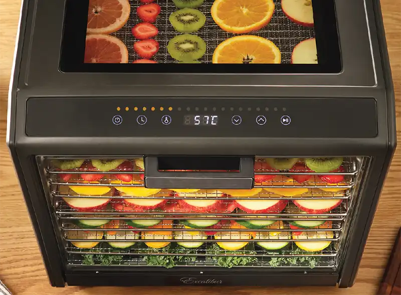 Excalibur EXDH10SS C 6