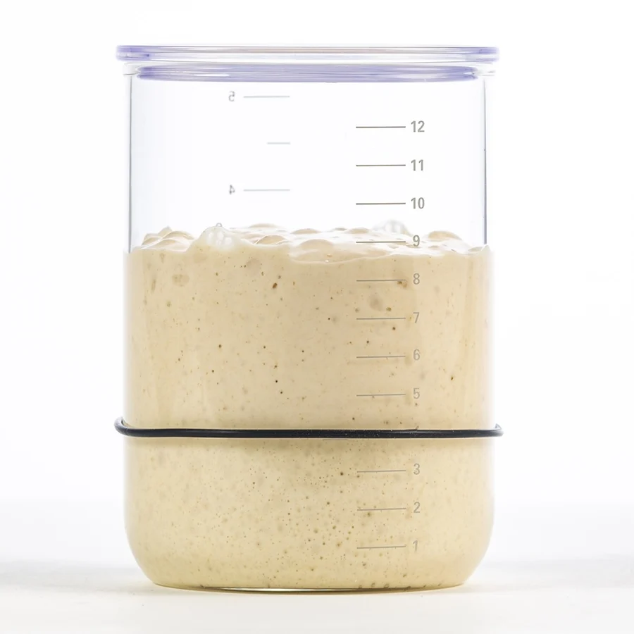 Brod & Taylor Sauerteig Starter Behälter – Bild 2